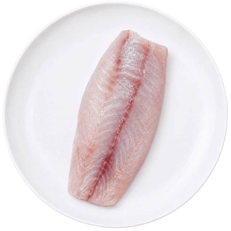 Grouper fillet
